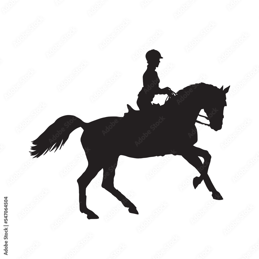 equestrian sport vector silhouette on white.