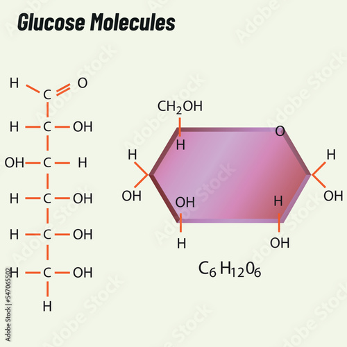 Chain molecule, Biology shape vector