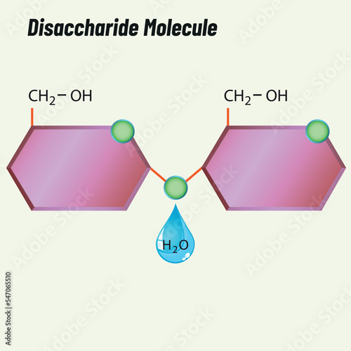 Chain molecule, Biology shape vector