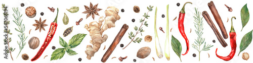 Spices Watercolor. Set. Illustration for clipart. Designed for menus, culinary blogs, packaging, textiles, web design, sites, stickers, invitations, patterns, logos. Drawn by hand.