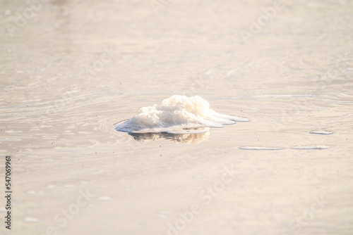 Obraz na płótnie Close-up of ice floes floating on the river. Spring, snow melts, floods begin and the river overflows. Day, cloudy weather, soft warm light w salonie