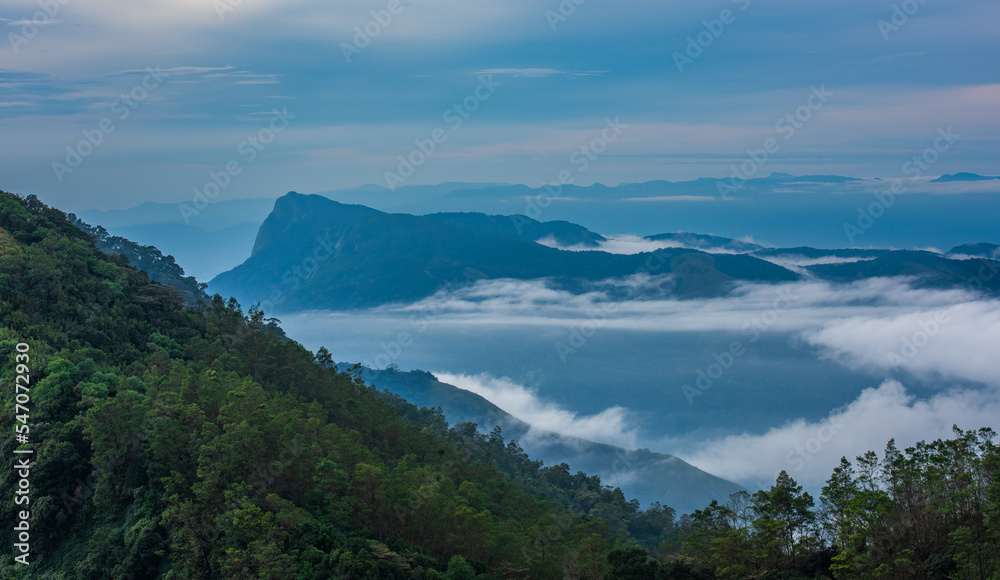 Morning mist in the tea Plantation in Munnar, Kerala, India.