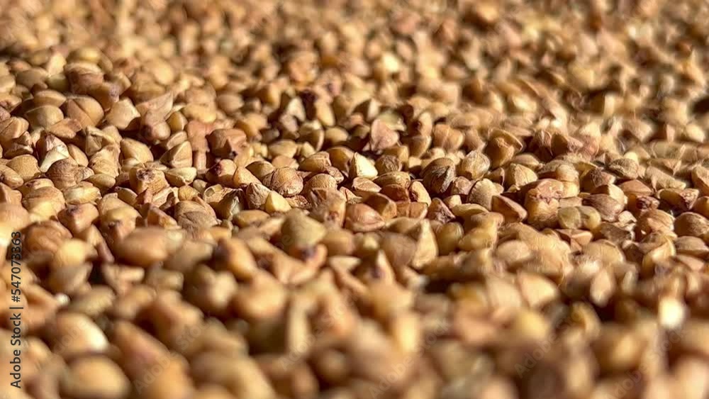 Natural fresh buckwheat groats. Close up. Natural fresh buckwheat groats. Close up.