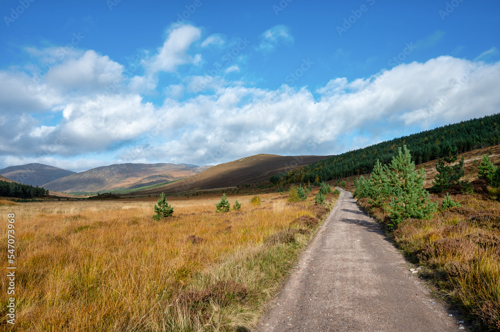 Dirt road in the Cairngorms mountains