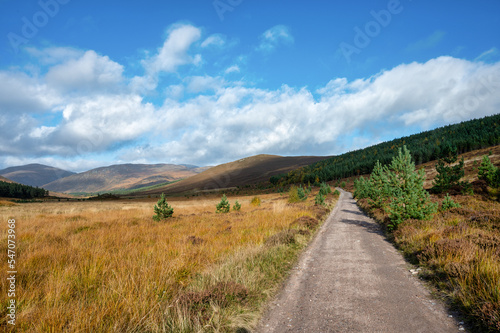 Dirt road in the Cairngorms mountains