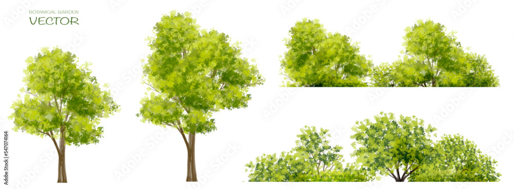 Fototapeta premium Vector watercolor blooming flower,tree or forest side view isolated on white background for landscape and architecture drawing,elements for environment and garden,botanical for section in spring