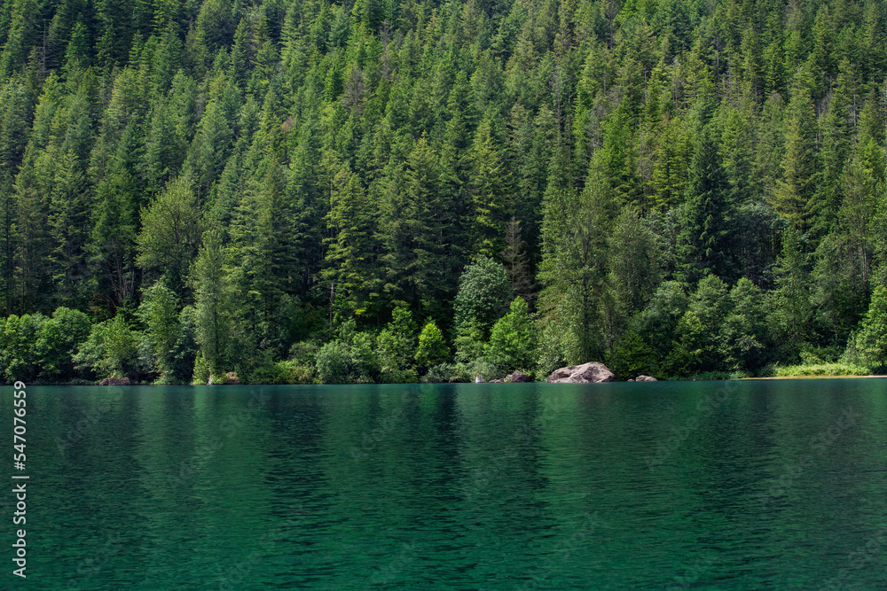 Beautiful Natural backdrop photo of a pristine lake in the Pacific Northwest line by thick pine tree forest.