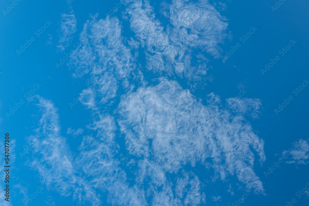 Fototapeta premium cirrocumulus vor blauem himmel