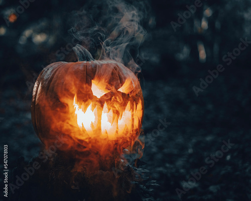 Halloween K  rbis mit Rauch im Wald
