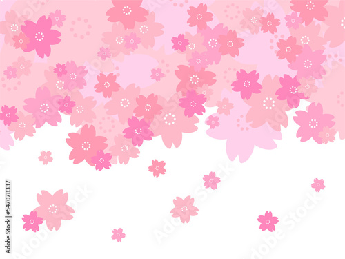 背景素材 桜 春 満開 ピンク色 透過PNG