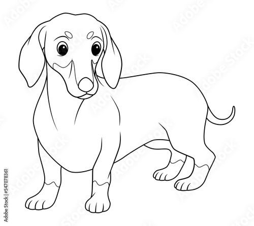 Dachshund Dog Cartoon Animal Illustration BW