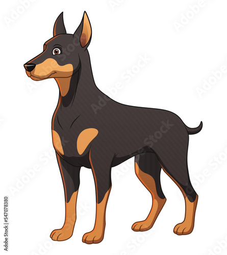 Doberman Dog Cartoon Animal Illustration