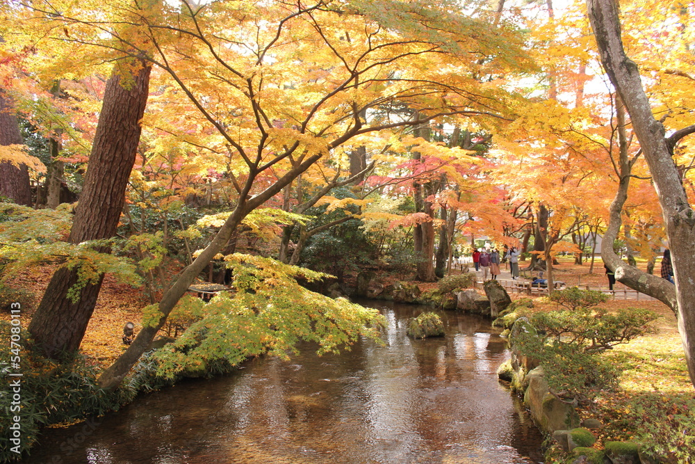 秋の小川と紅葉