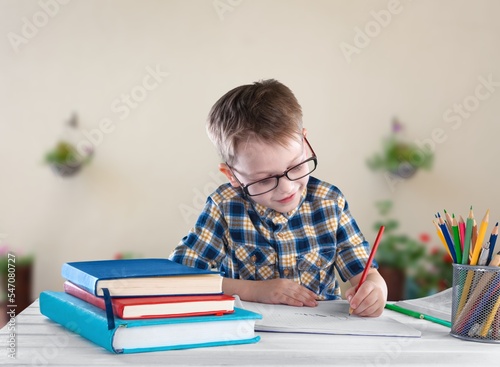 Small kid studying doing homework at room