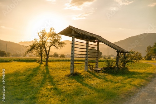 Vertical view of trees next to a hayrack in the warm glow of a sunset in the countryside