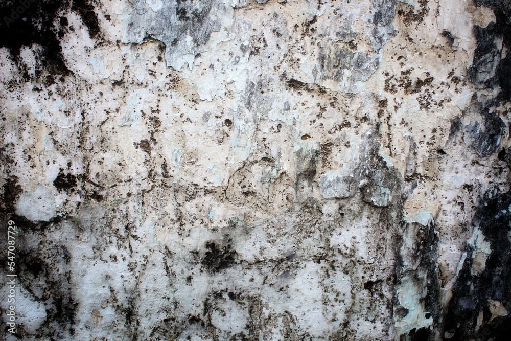 A weathered concrete wall with cracks and peeling paint, showing signs of age and decay. A weathered concrete wall with cracks and peeling paint, showing signs of age and decay.