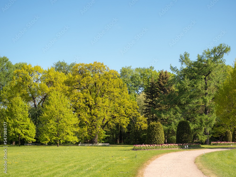 landscape in a park