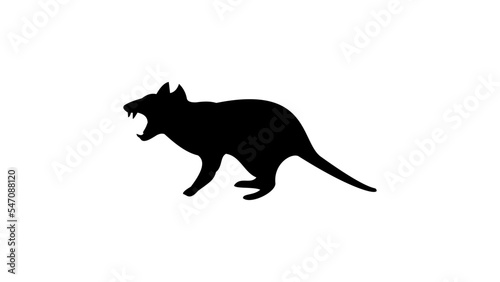 Tasmanian devil silhouette © OMIA