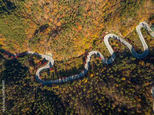 Cars are passing by the forest road colored with autumn leaves. 가을 숲 도로, 단풍, 말티재