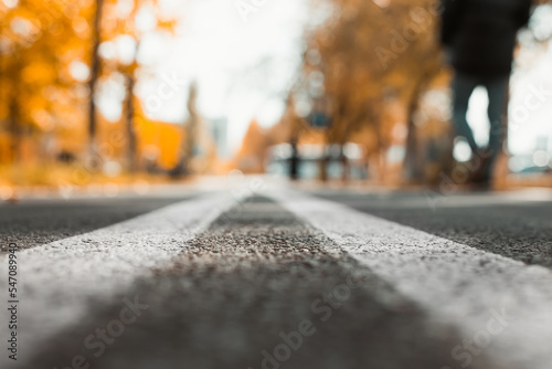 Pedestrian path with white marking lines in autumn park. Close-up, low angle view, selective focus
