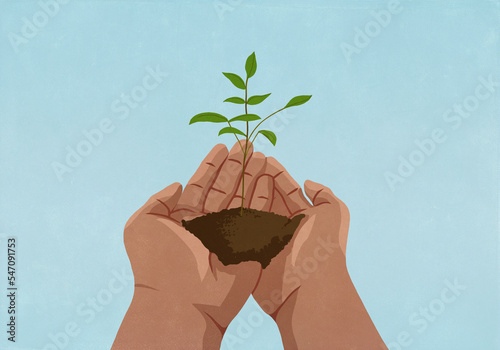 Close up hands cupping sapling growing in soil
