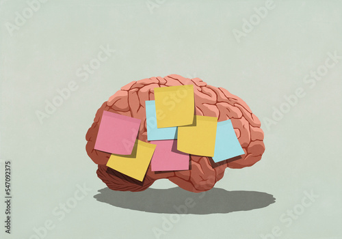 Adhesive notes covering brain
 photo