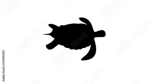 sea turtle silhouette