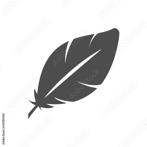 Bird feather icon or writing concept
