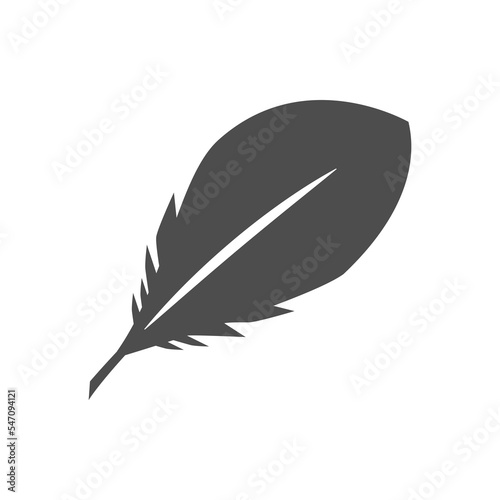 Bird feather icon or writing concept