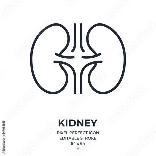 Kidney editable stroke outline icon isolated on white background flat vector illustration. Pixel perfect. 64 x 64.