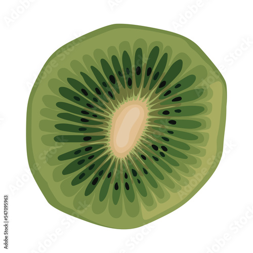 kiwi fruit food healthy tropical fresh juicy kiwifruit vector illustration vitamin health nature freshness