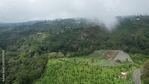 Bali, Indonesia - November 12, 2022: The Scenery of Munduk area at North Bali photo