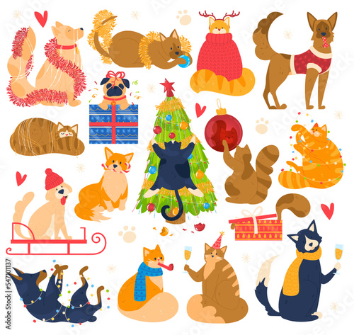 Christmas dogs and cats animals holiday funny pet, christmas, tree, gift box design cartoon vector illustration isolated on white.