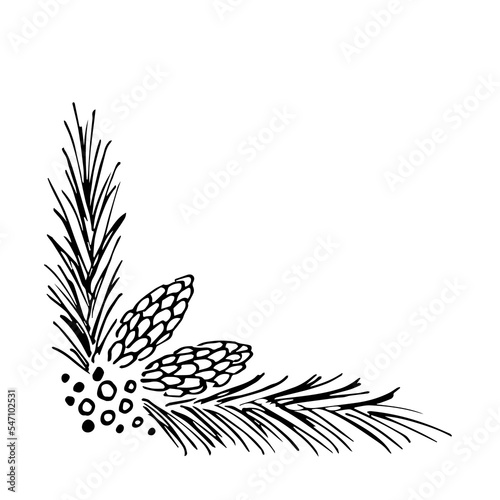 Simple hand drawn black engraving style vector illustration. Coniferous cones and branches, corner. Christmas winter decor. Ink sketch.