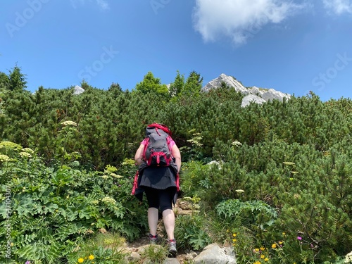 View of distant hills and mountain forests of Gorski Kotar from Risnjak National Park - Croatia (Pogled na udaljene brijegove i planinske šume Gorskog kotara iz nacionalnog parka Risnjak - Gorski kota photo