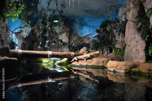 The pluvial habitat of two speckled caimans at Cattolica aquarium
