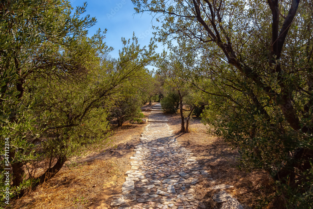 Brick path with trees in Philopappos Hill, Athens, Greece. Sunny Morning. Brick path with trees in Philopappos Hill, Athens, Greece. Sunny Morning.