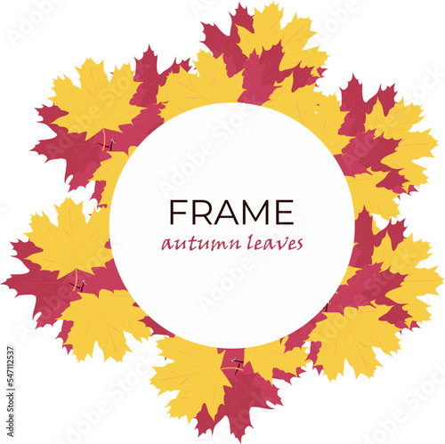 Vector autumn frame. Design for invitation  envelope  card. Vector drawing.