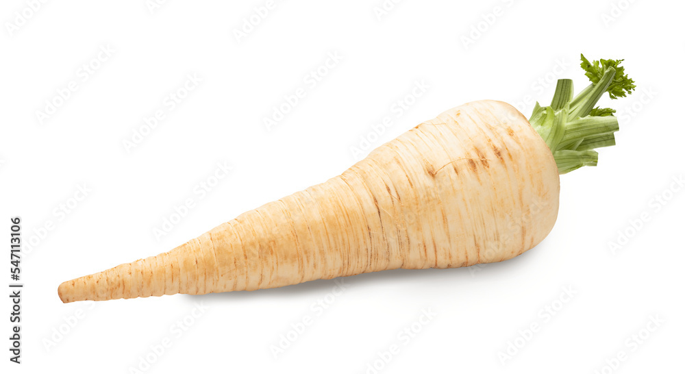 parsley root isolated on white. the entire image in sharpness. - obrazy, fototapety, plakaty 