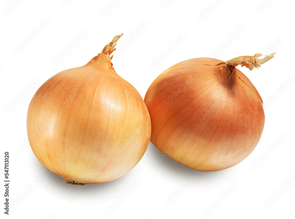 Fototapeta premium onion bulbs isolated on white. the entire image in sharpness.