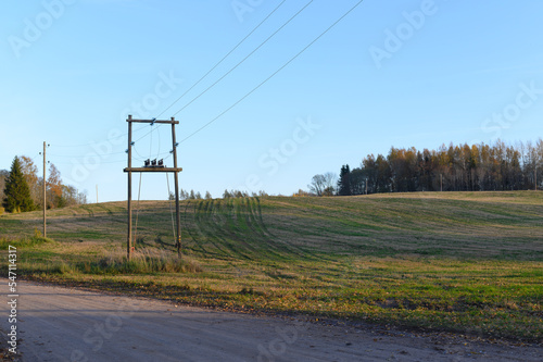 Electric power grid line poles on field and sky background in autumn