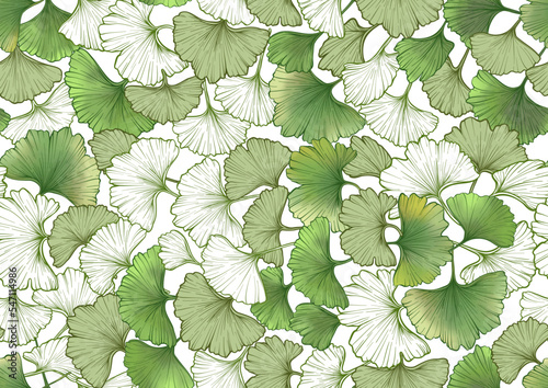 Ginkgo biloba leaves. Seamless pattern, background. Vector illustration. In botanical style