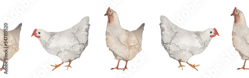 Chicken border.Farm.Watercolor border on white background.Natural hand drawn border element