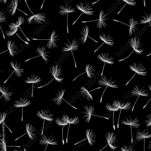 Seamless pattern from dandelion seeds on a black background