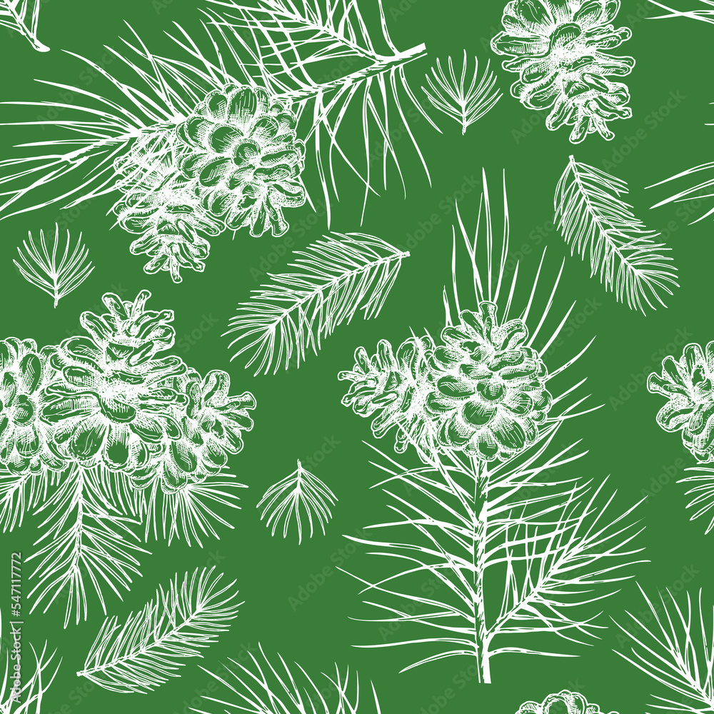 Vector Pine Cone seamless pattern. Hand drawing sketch illustration. Botanical illustration pine cone, cedar. Vintage engraved graphic. New Year and Christmas holiday decor.