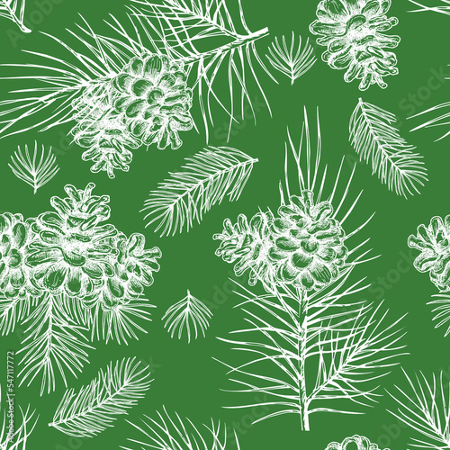 Vector Pine Cone seamless pattern. Hand drawing sketch illustration. Botanical illustration pine cone, cedar. Vintage engraved graphic. New Year and Christmas holiday decor.