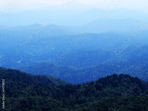 View of distant hills and mountain forests of Gorski Kotar from Risnjak National Park, Croatia (Pogled na udaljene brijegove i planinske šume Gorskog kotara iz nacionalnog parka Risnjak - Gorski kotar