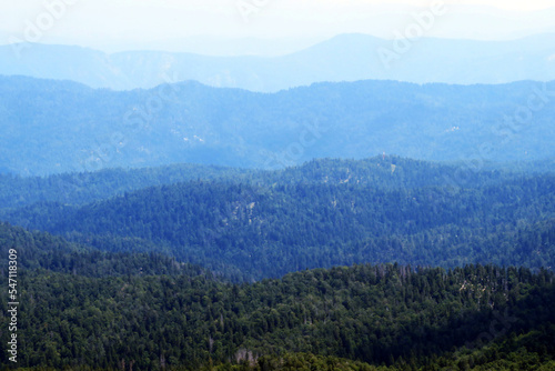 View of distant hills and mountain forests of Gorski Kotar from Risnjak National Park, Croatia (Pogled na udaljene brijegove i planinske šume Gorskog kotara iz nacionalnog parka Risnjak - Gorski kotar photo