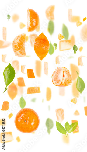 Tangerine Slice and Leaf Collection