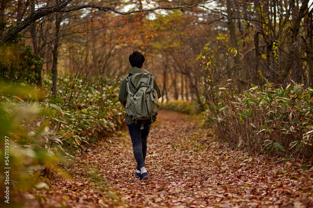 登山を楽しむ若い日本人の男性 登山を楽しむ若い日本人の男性